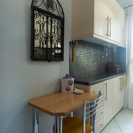 Old βridge αpartment